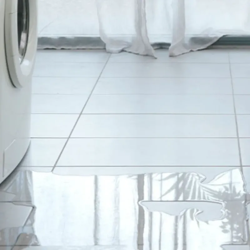 Appliance Leak Cleanup in Easley, SC