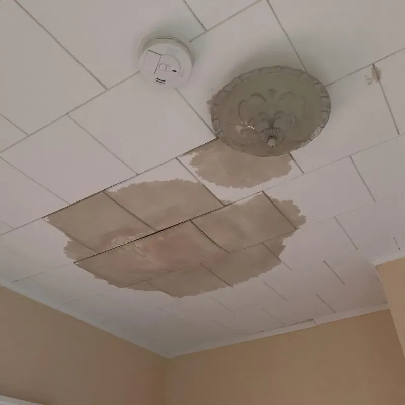 Ceiling Water Damage Repair in Easley, SC