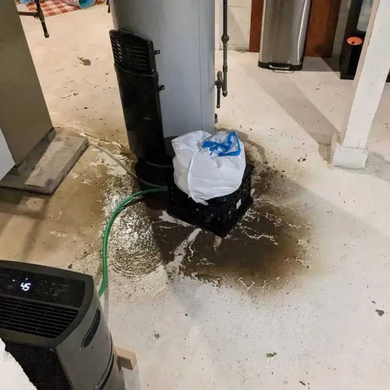 Sewage Backup Cleanup Service in Easley, SC